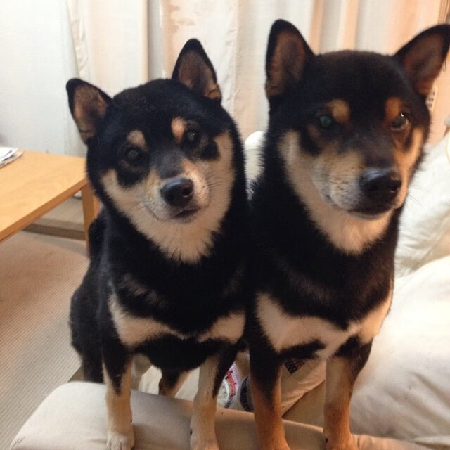 开云体育官方网站-【新规则实施效果评估】比赛节奏提升？公平性保障？，赛事绩效评估