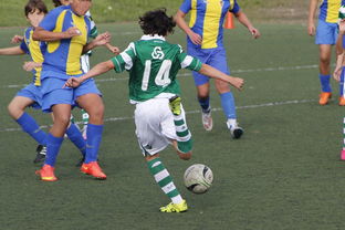 kaiyun体育综合-中国足球国家队备战友谊赛调整战术策略，国足 友谊赛